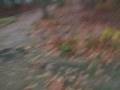videos de TraySliding.WMV