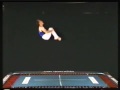 Backyard Pro® Trampoline Tips Backyard Pro® Trampoline Tips