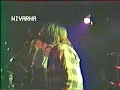 nirvana   dive live
