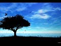 Video screenshot