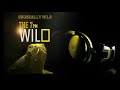 7pm wild(1).avi