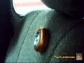 Luz Osram Dot it para Renault 4 TL