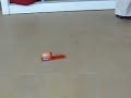 monash egg car race 2008 for physics   hariz dinee nik acap naza tim dewoo  
