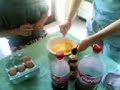Lezioni di cucina: come NON si sbattono le uova