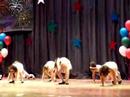 Ballet 2007