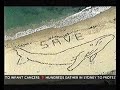 Human Whale at Bondi Beach- Channel 7