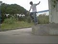 skate pedro
