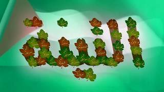 عائلات بلدة التينة قضاء الرملة - فلسطين المحتلة