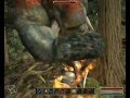 Gothic 3