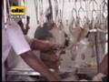 Faenamiento de pollos