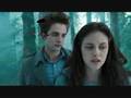 Twilight Collage