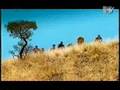 Dario-G-Sunchyme