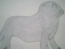 My Drawings