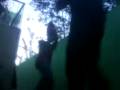 videos de artes amrciales
