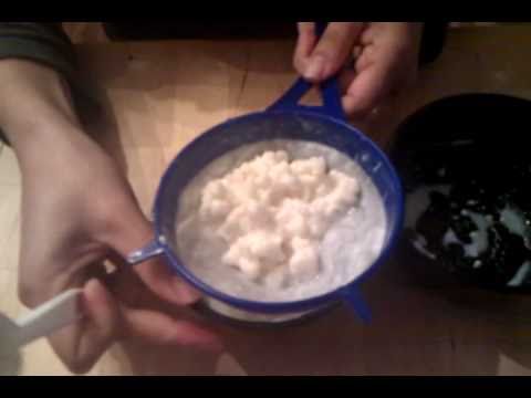 Preparando Yogur Casero / Preparing Homemade Yogurt
