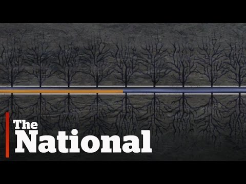 Alberta fracking operation closed indefinitely after earthquake