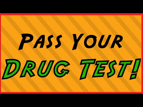 how to pass a drug test the day of