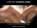 videos de Tears on your face by mirima2244