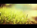 Spa Background | Meditation - Yoga - Massage - Reiki - Study (3H) - Relaxační hudba (Relaxing Music)