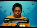 NumNut - Numnah NumNut - Numnah
