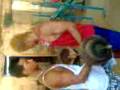 videos de diego o grande