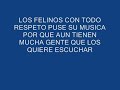 los felinos