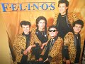 los felinos