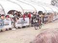 videos de 2008 U.S. Mountain Bike National Championship - Pro Women Short Track Finish
