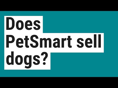 Does PetSmart sell dogs?