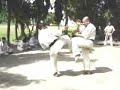 Salt Lake Dojo Sensei Prasenjit Saha vashistha vs ganesh