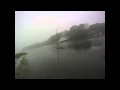 Saltwater estuary bass on the fly