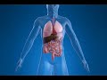 Medication for Cholesterol (Health Short) Medication for Cholesterol (Health Short)