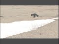 MGT Big Air Bash