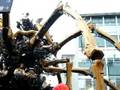 videos de giant spider