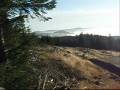 videos de Glentress 29 11 08