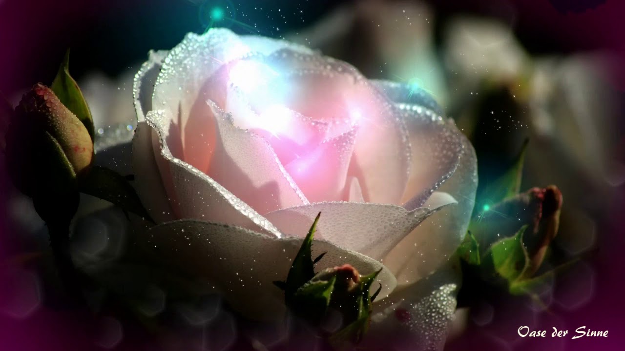 ☼ Temple of roses ☼