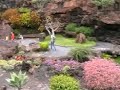 Jameos Del Agua - New