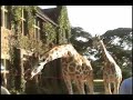 incident at giraffe manor