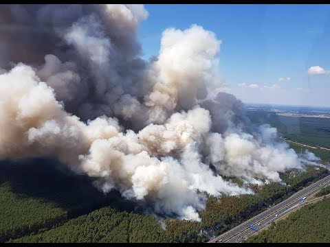 Waldbrand nahe Potsdam: Feuerwehr rettet Fichtenwalde – ...
