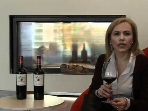 CATA VINO TEMPRANILLO FUENTESPINA SELECCION