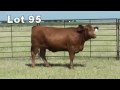 Lot 95 T780