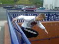 freerunning begginers volume 2