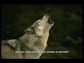Alux Nahual - La Plegaria del Hombre Lobo