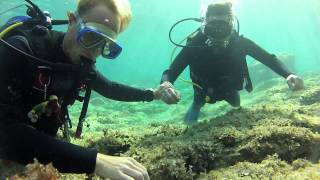 Bautismo de buceo