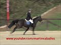 615 - Gran Attraction con Max Schot.m4v