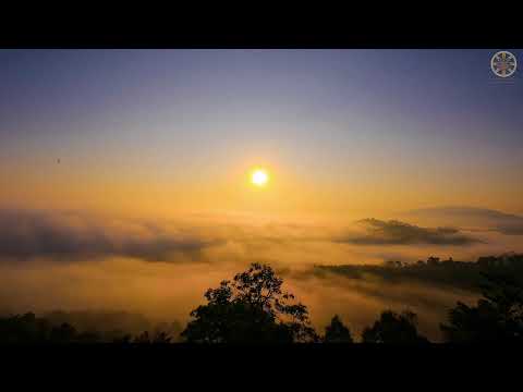NIKAYA Tam Bộ Nhất Bái 4
