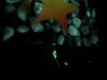 clip video D'Julz Dragon Dub