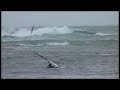 Nomadic 3 Wave Sailing - Marrawah
