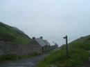 Skomer Island 2007