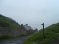 Skomer Island 2007